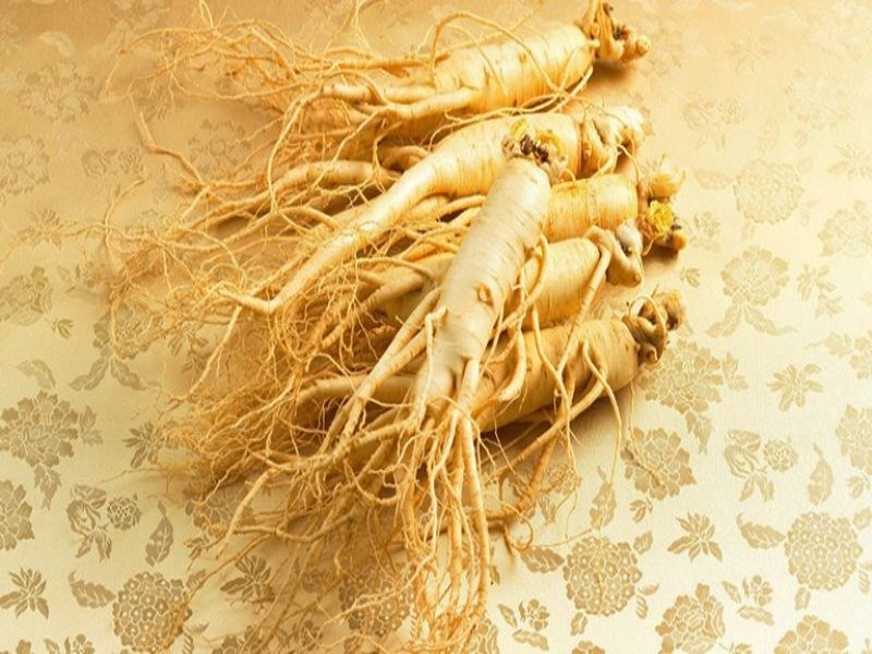 Hồng sâm có tốt cho gan