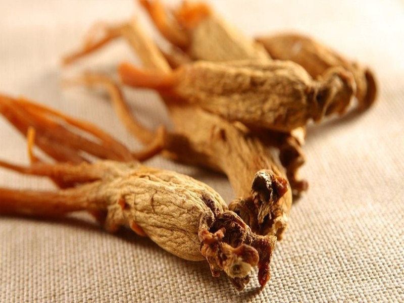 Hồng sâm là gì